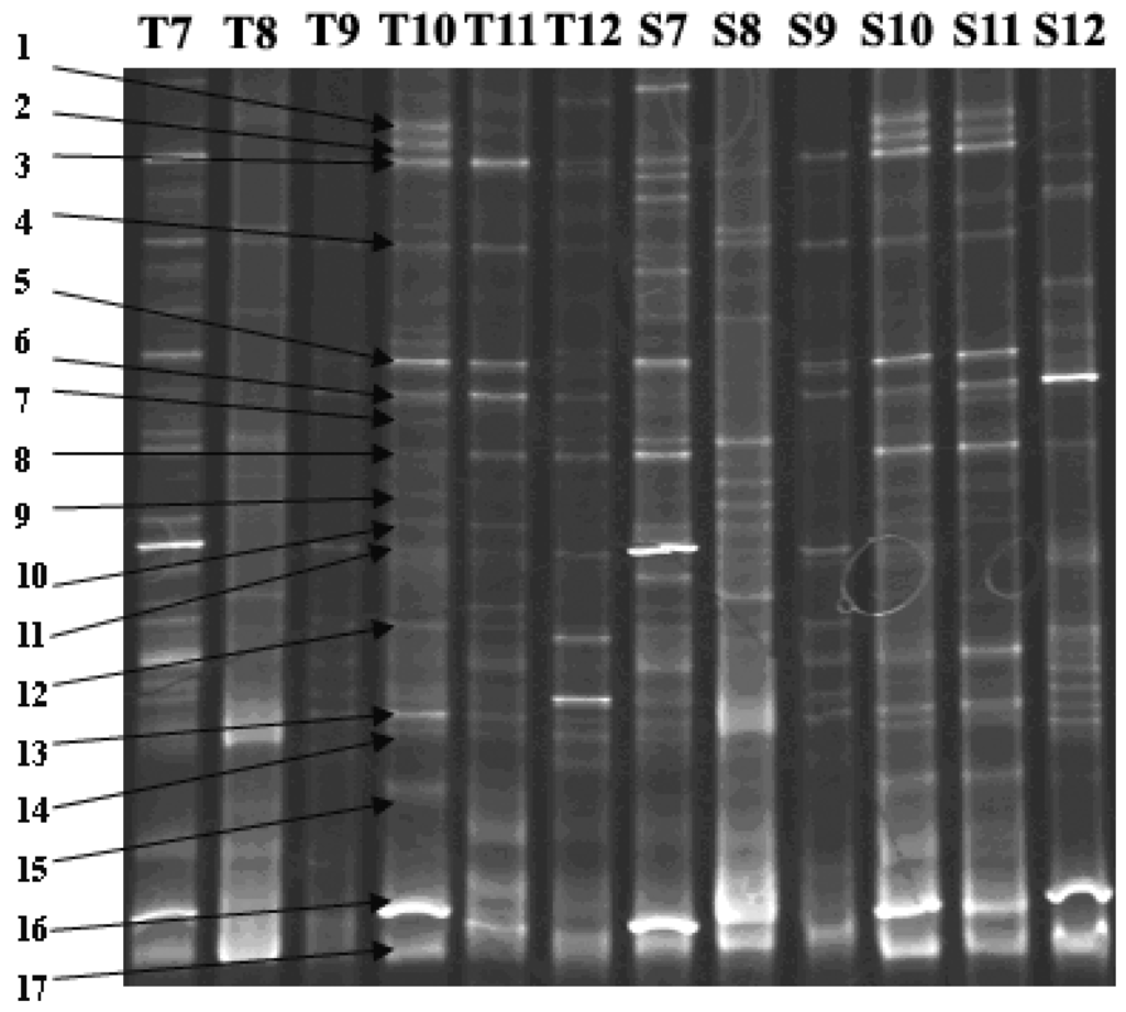 Ijerph 11 01141 g002 1024