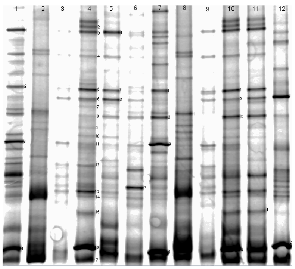 Ijerph 11 01141 g006 1024