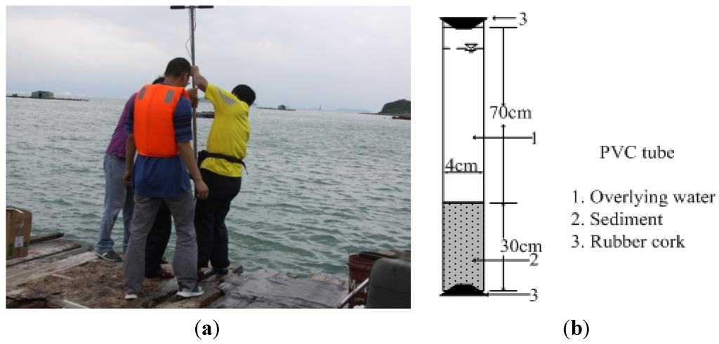 Ijerph 11 01557 g002 1024