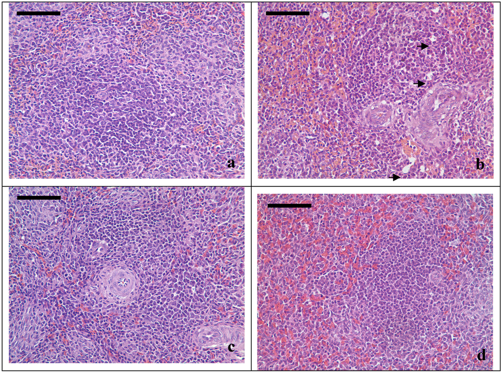 Ijerph 11 01904 g001 1024