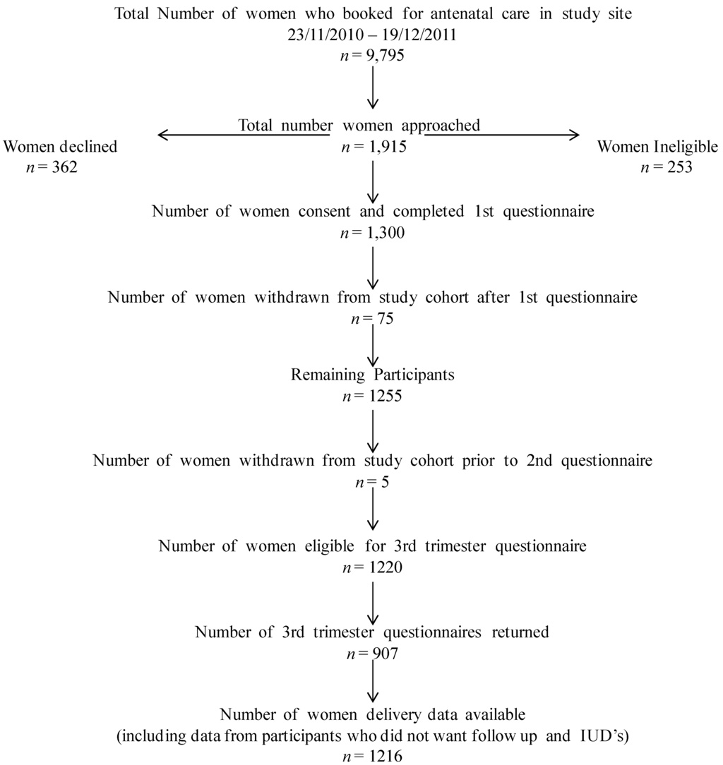 Ijerph 11 02049 g001 1024