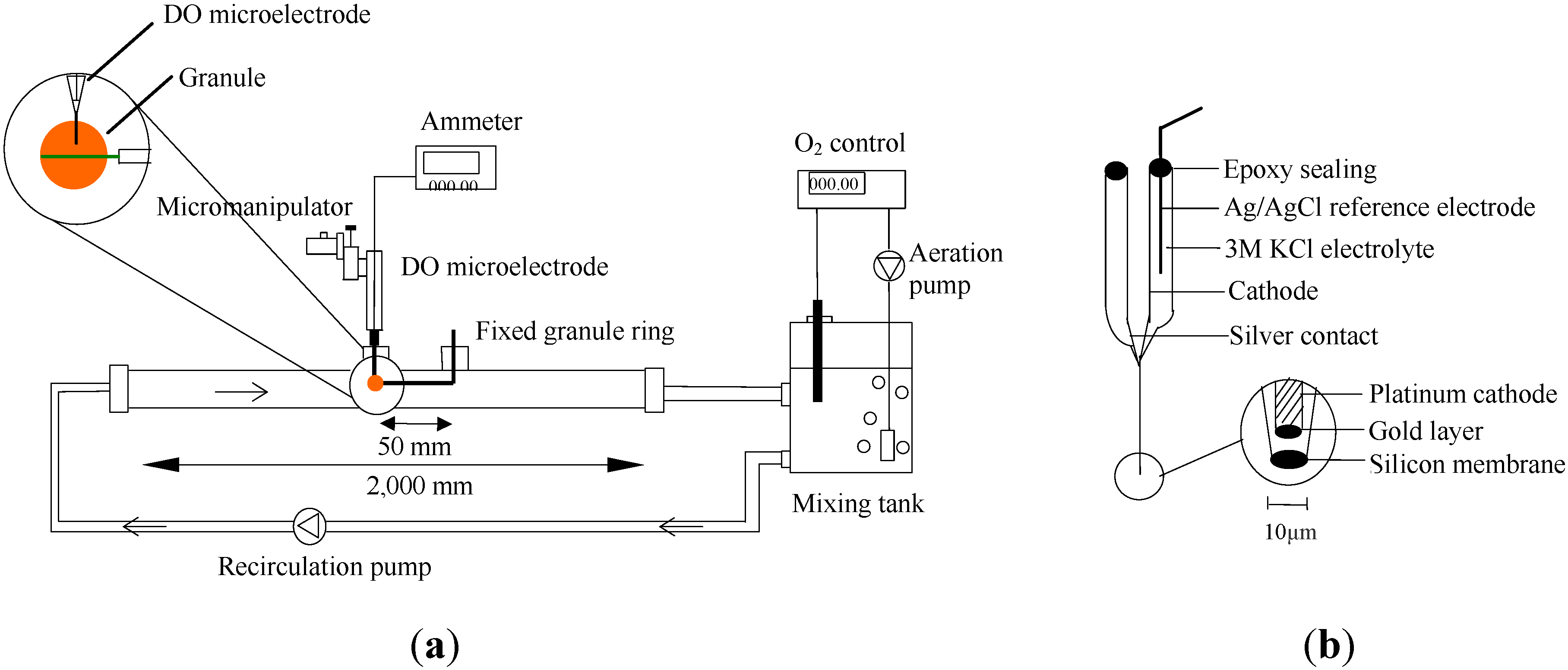Ijerph 11 02427 g001