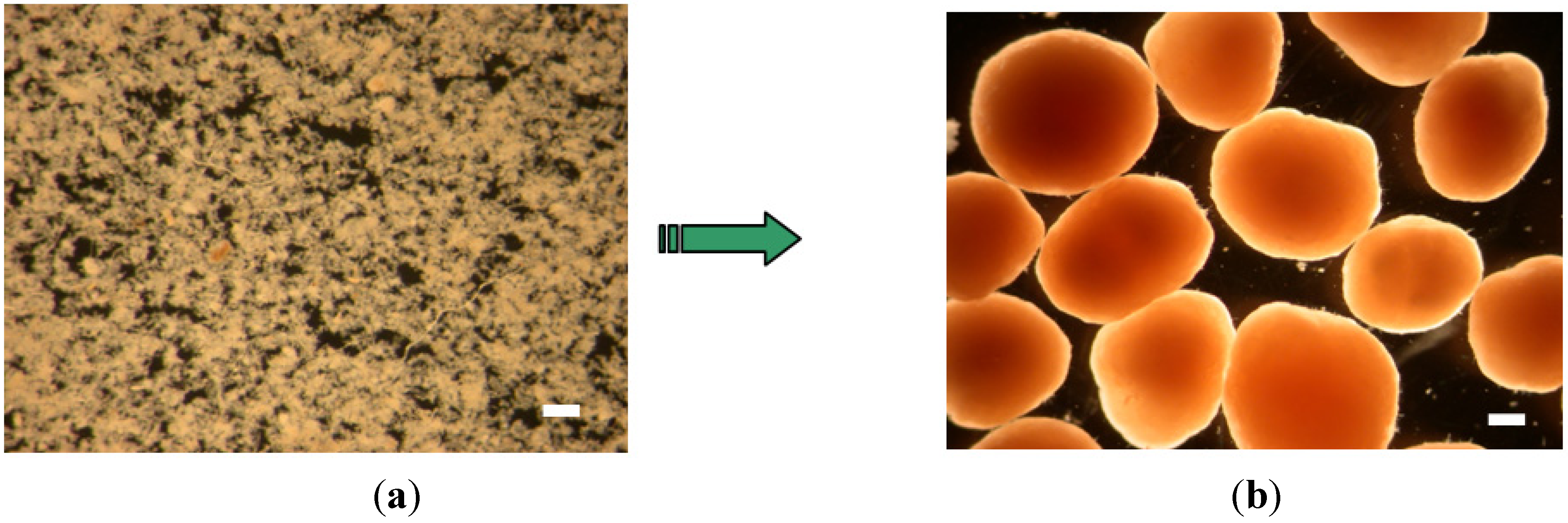 Ijerph 11 02427 g003