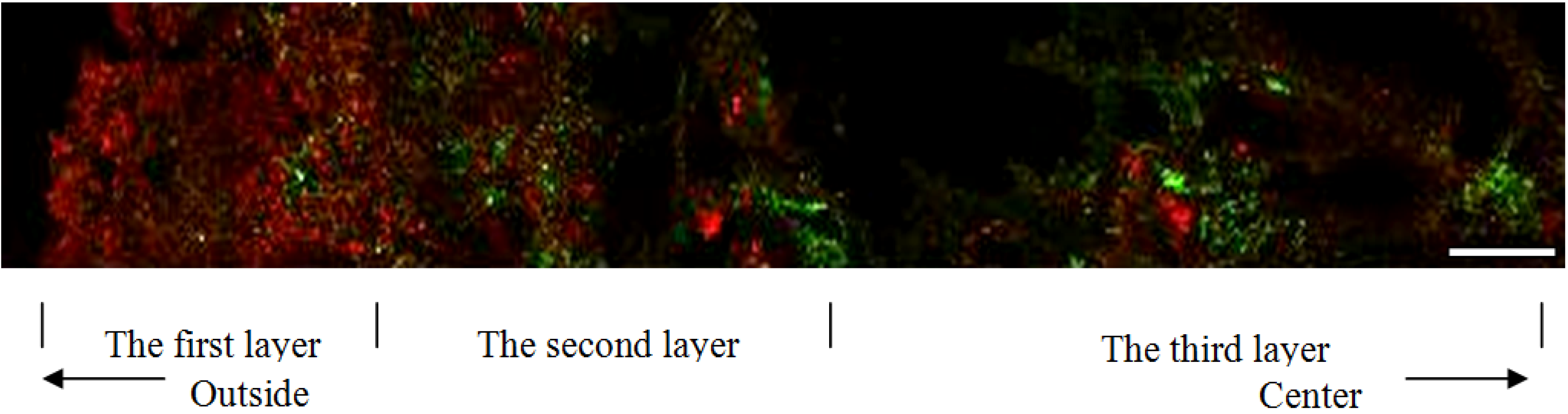 Ijerph 11 02427 g007