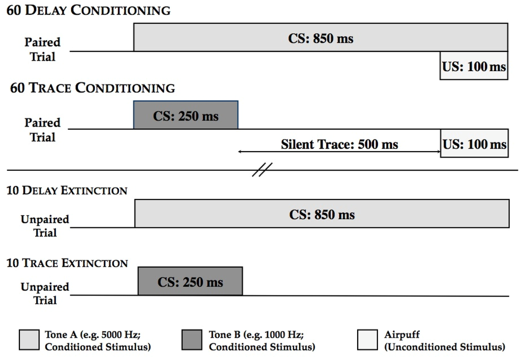 Ijerph 11 03046 g001 1024
