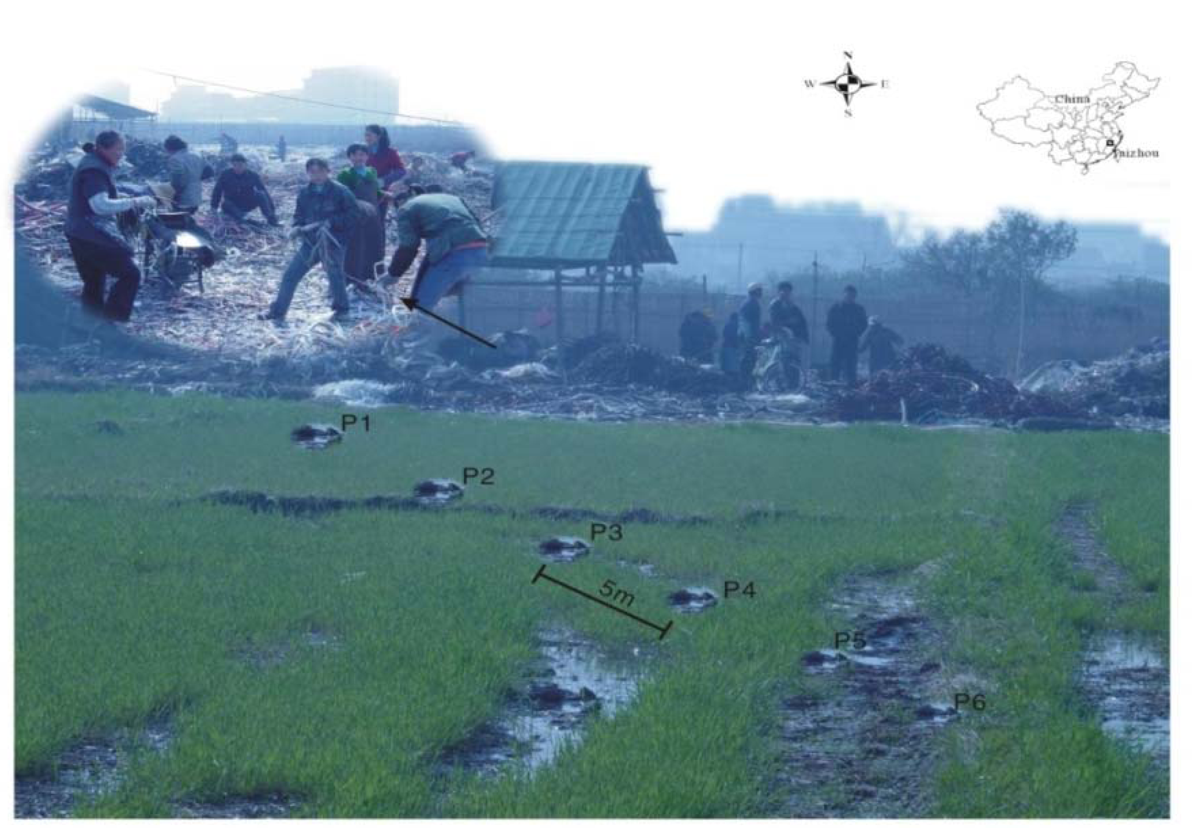 Ijerph 11 03118 g001