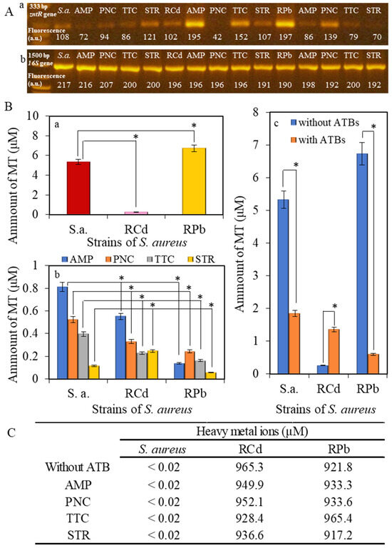 Ijerph 11 03233 g005