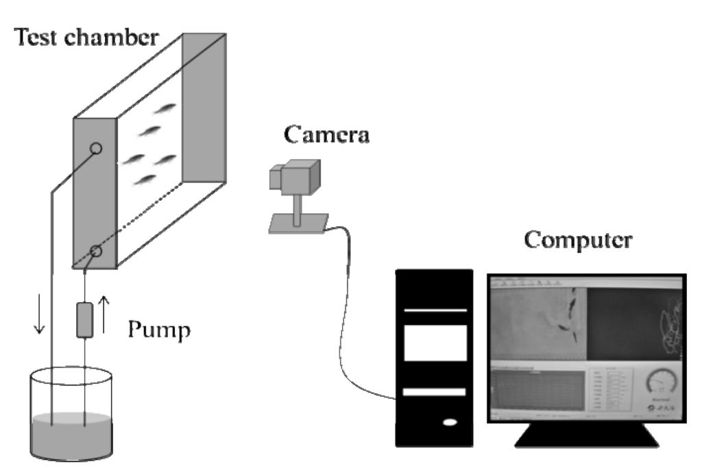 Ijerph 11 03650 g001 1024