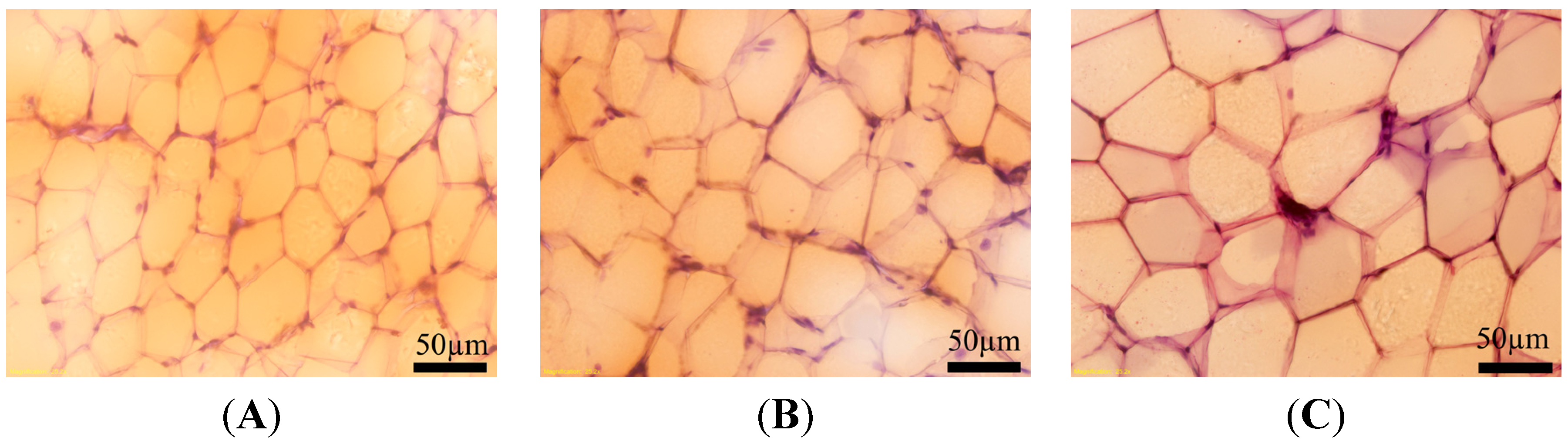 Ijerph 11 03728 g004