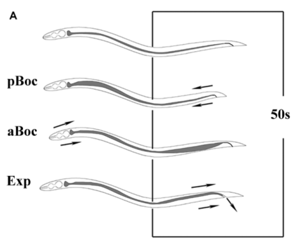 Ijerph 11 04589 g001 1024