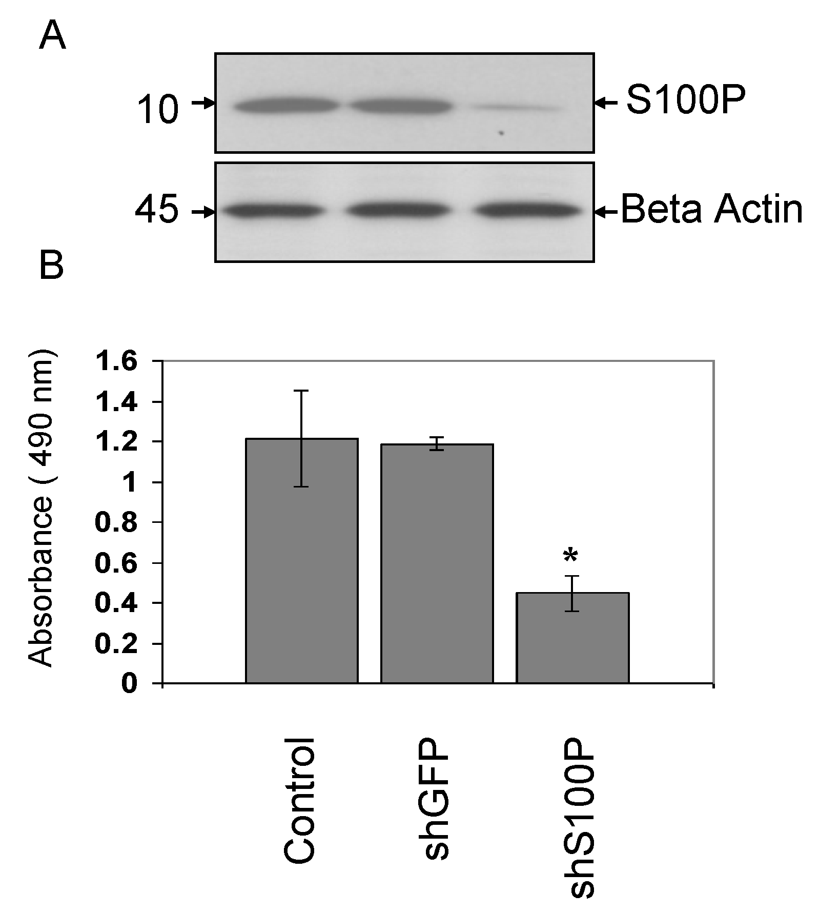 Ijerph 11 05006 g001