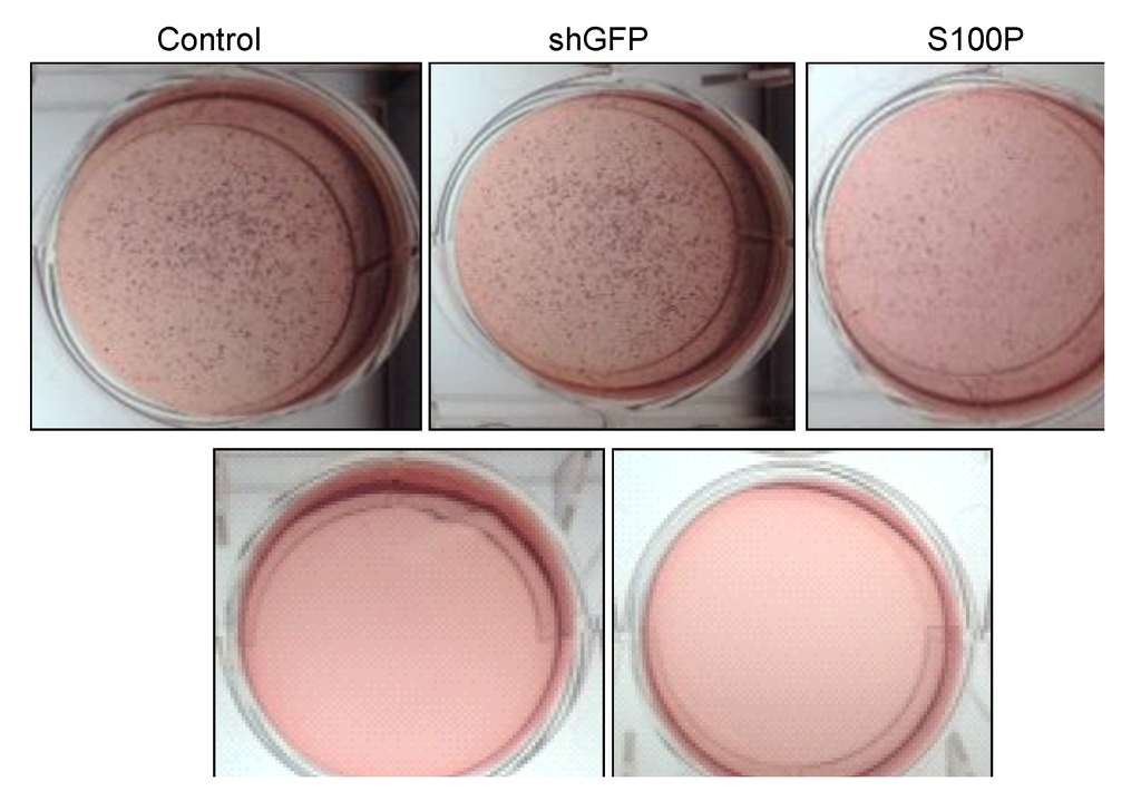 Ijerph 11 05006 g004 1024