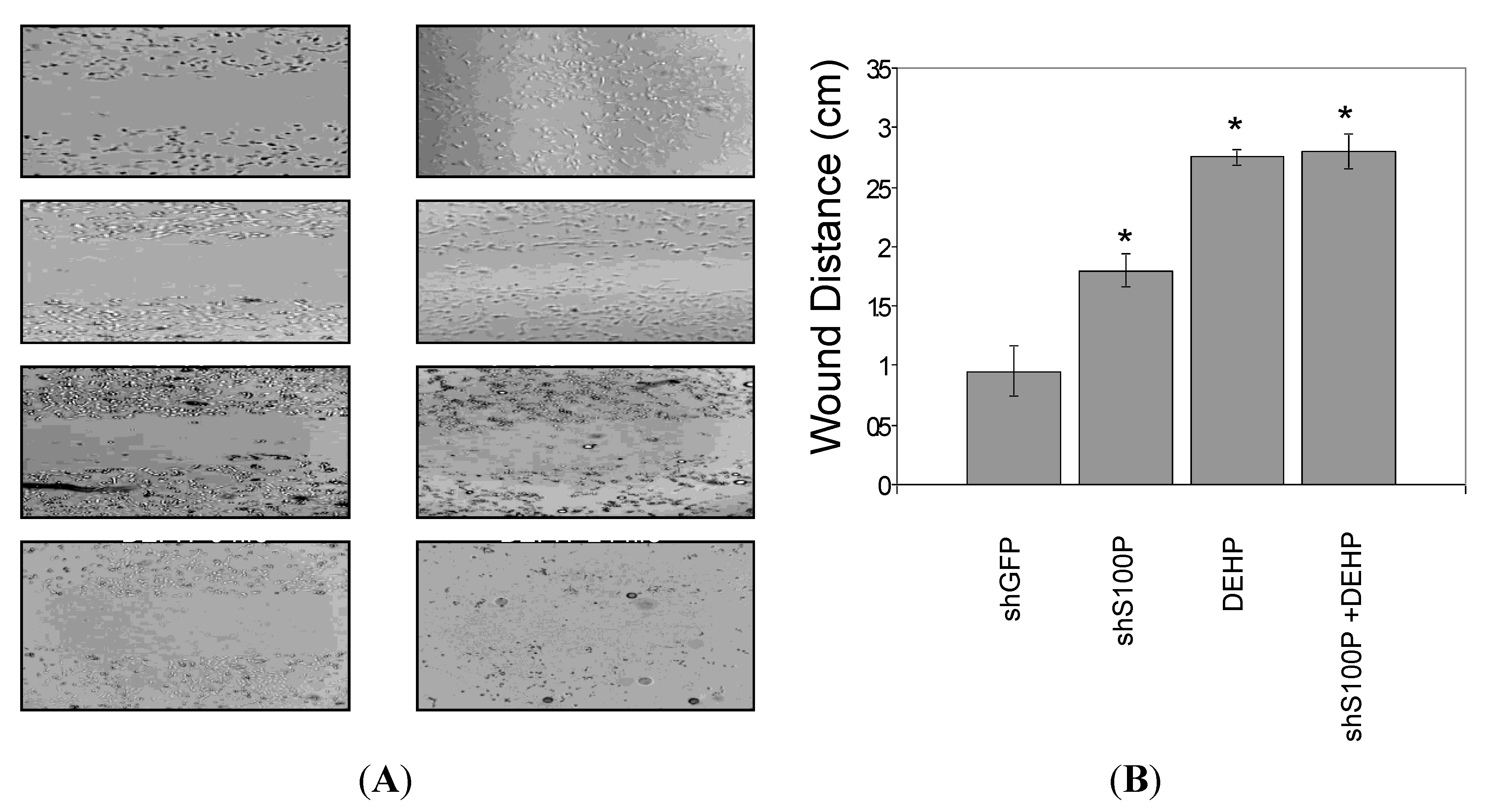 Ijerph 11 05006 g005
