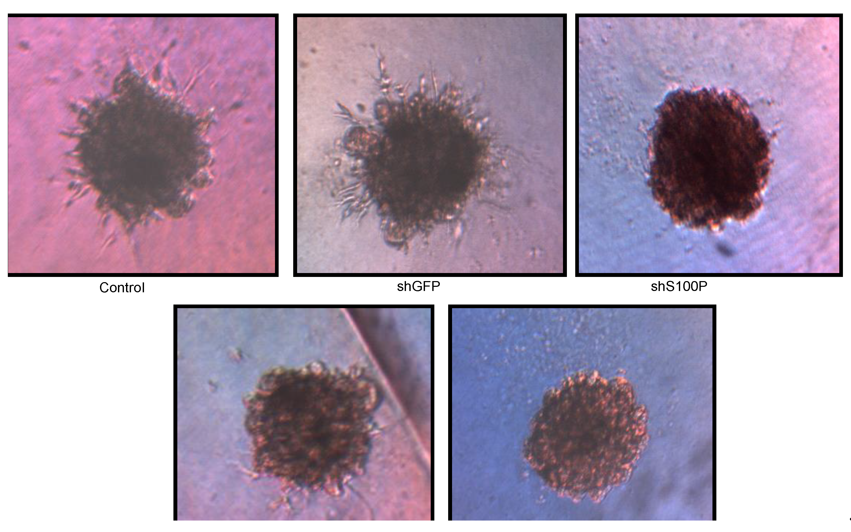 Ijerph 11 05006 g006