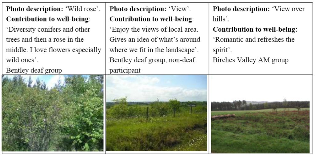 Ijerph 11 06171 g002 1024