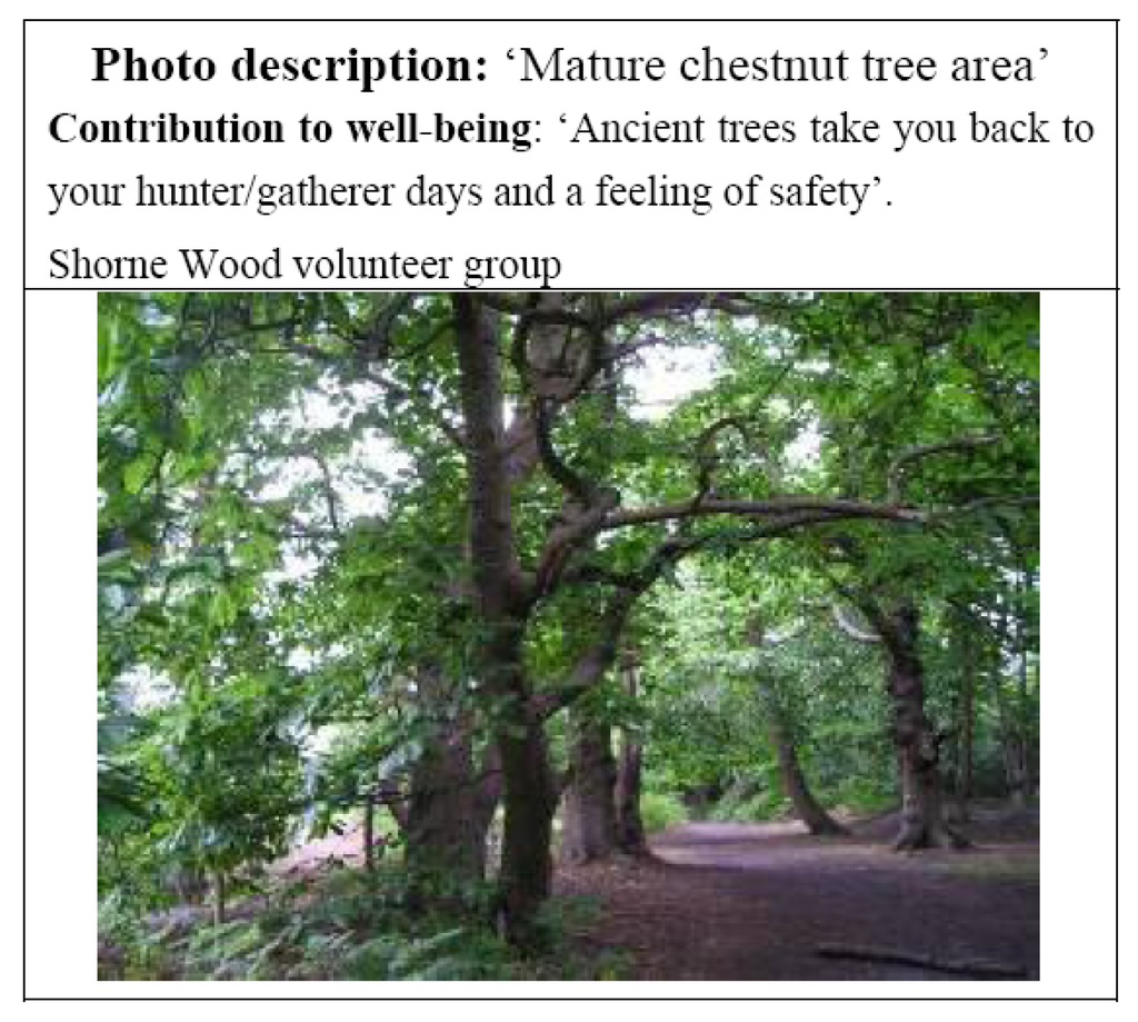 Ijerph 11 06171 g003 1024