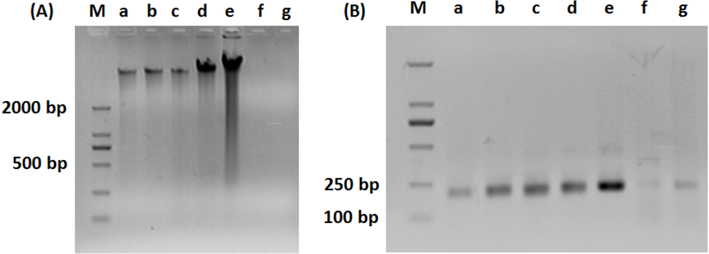 Ijerph 11 06281 g001 1024