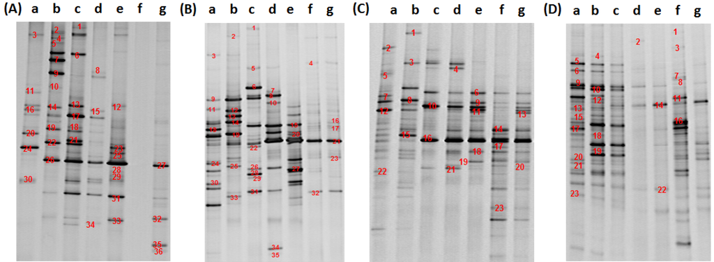 Ijerph 11 06281 g002 1024