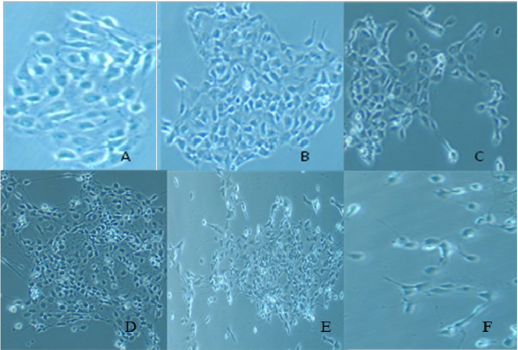 Ijerph 11 07524 g001 1024