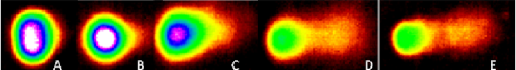 Ijerph 11 07524 g003 1024