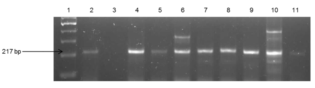 Ijerph 11 07755 g004 1024