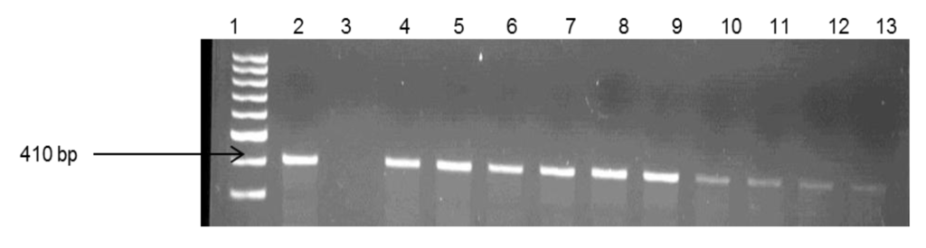 Ijerph 11 07755 g005 1024