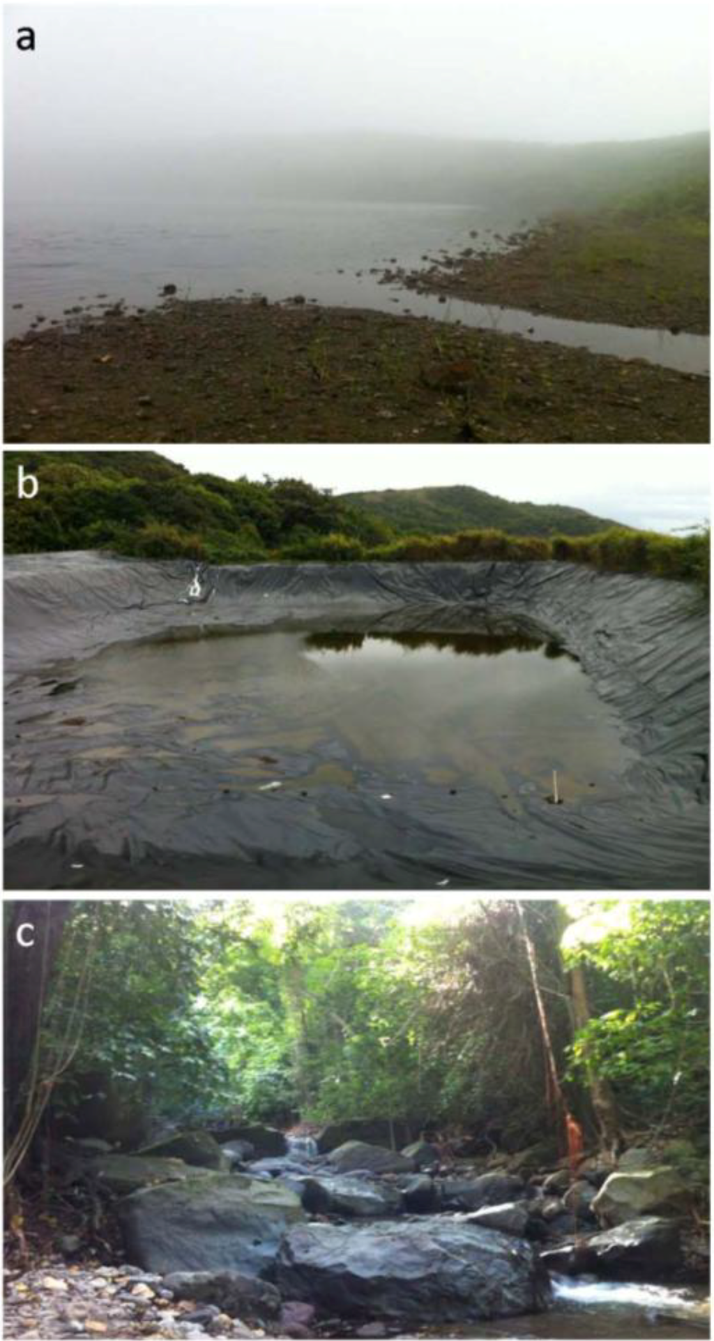 Ijerph 11 07953 g002 1024