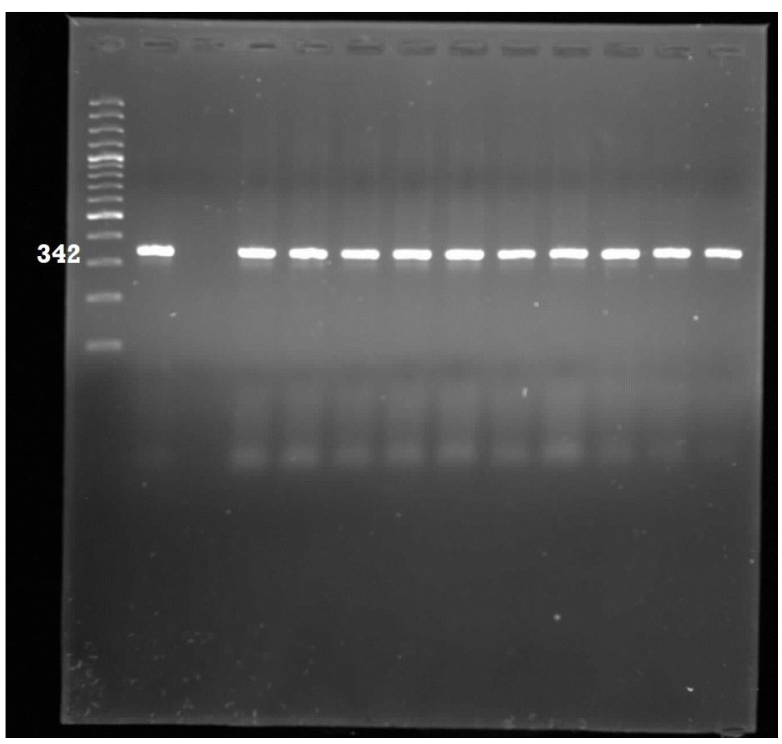 Ijerph 11 08213 g003