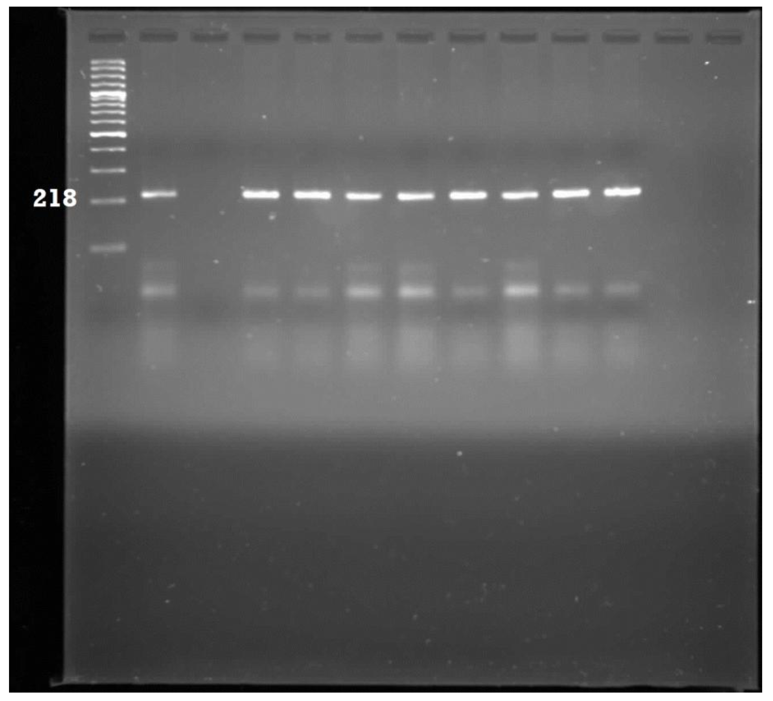 Ijerph 11 08213 g005