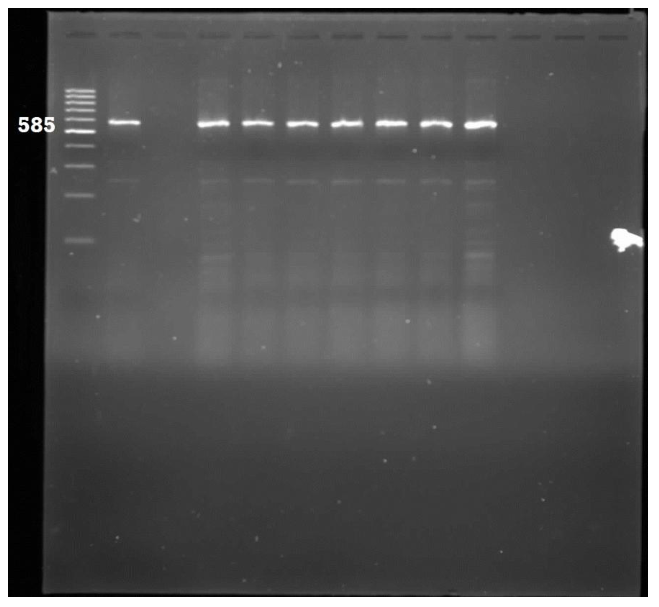 Ijerph 11 08213 g006