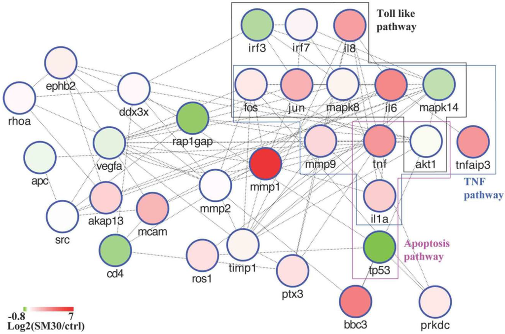 Ijerph 11 08867 g004 1024