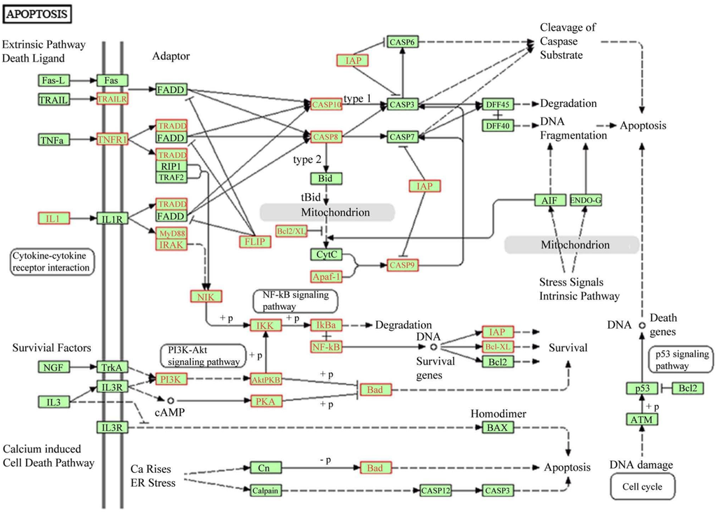 Ijerph 11 08867 g005 1024