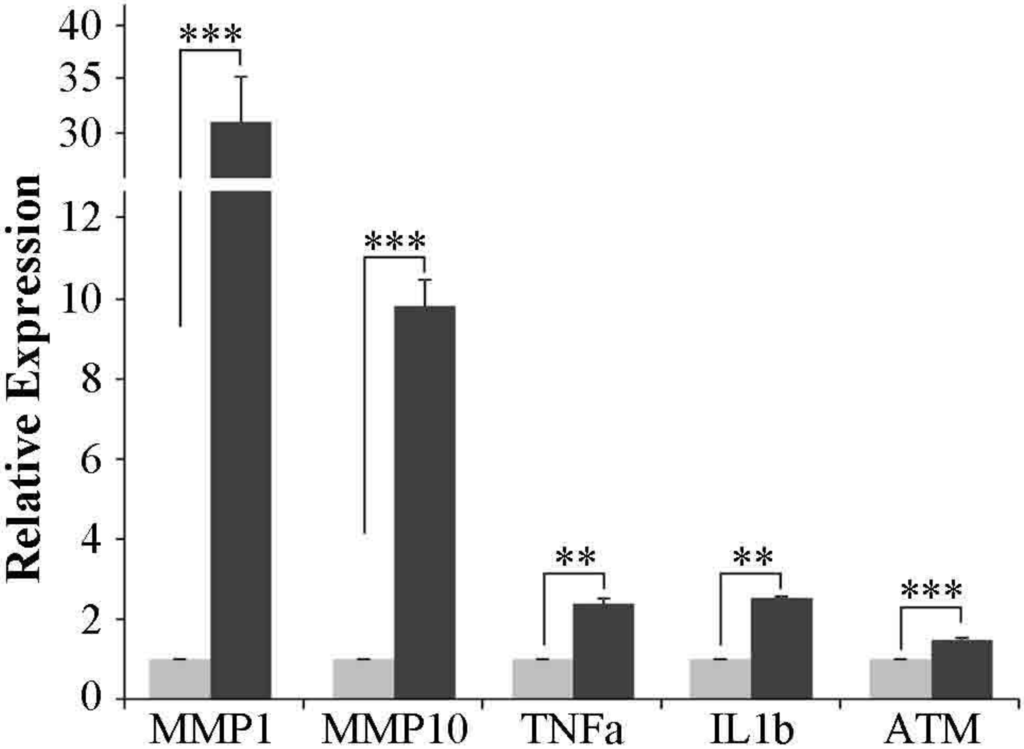 Ijerph 11 08867 g007 1024