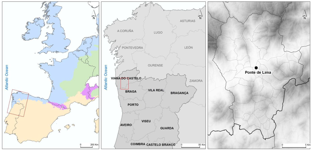 Ijerph 11 09050 g001 1024