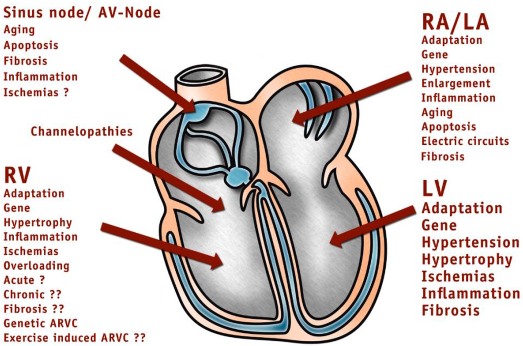 Ijerph 11 09082 g001 1024