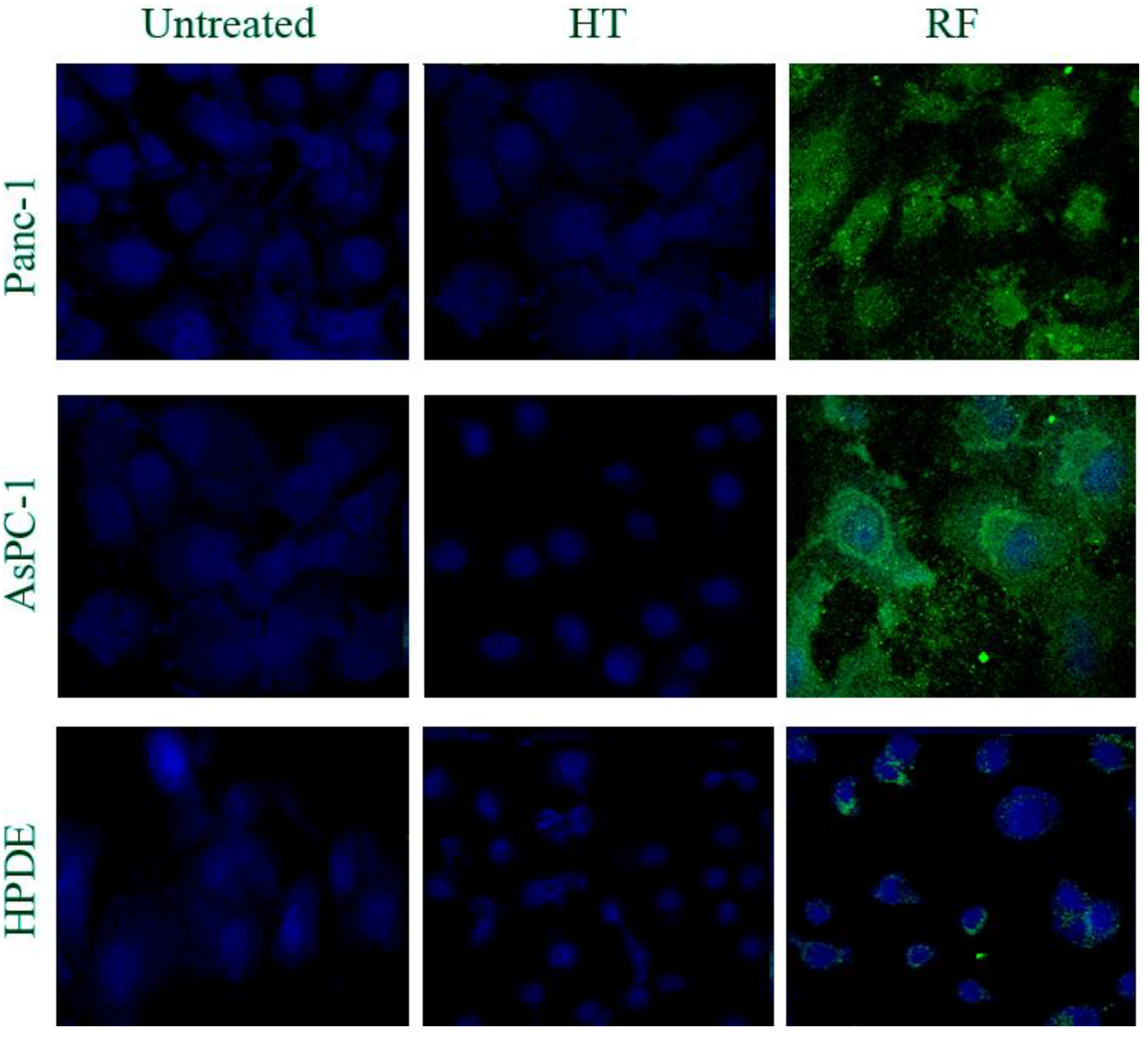 Ijerph 11 09142 g004