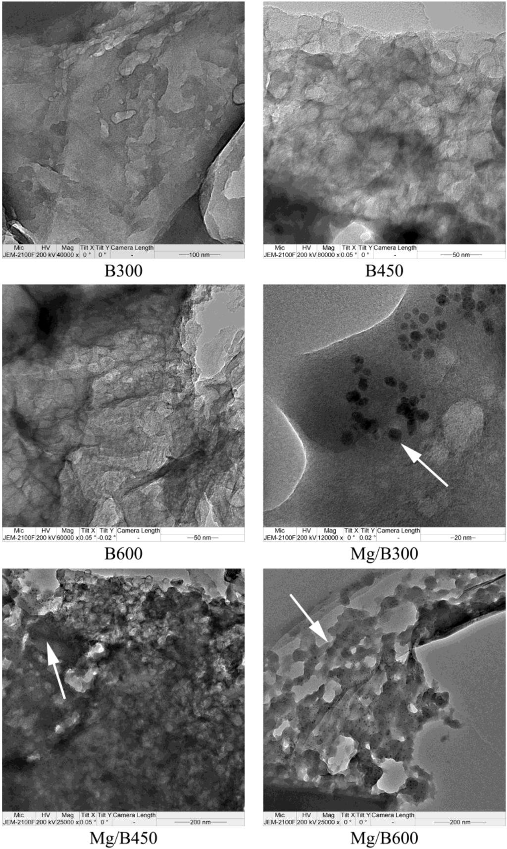 Ijerph 11 09217 g001 1024