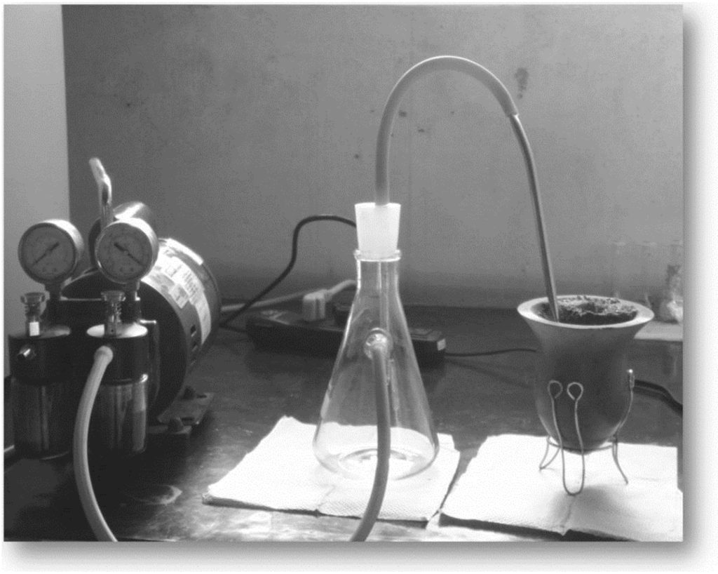 Ijerph 11 10091 g001 1024