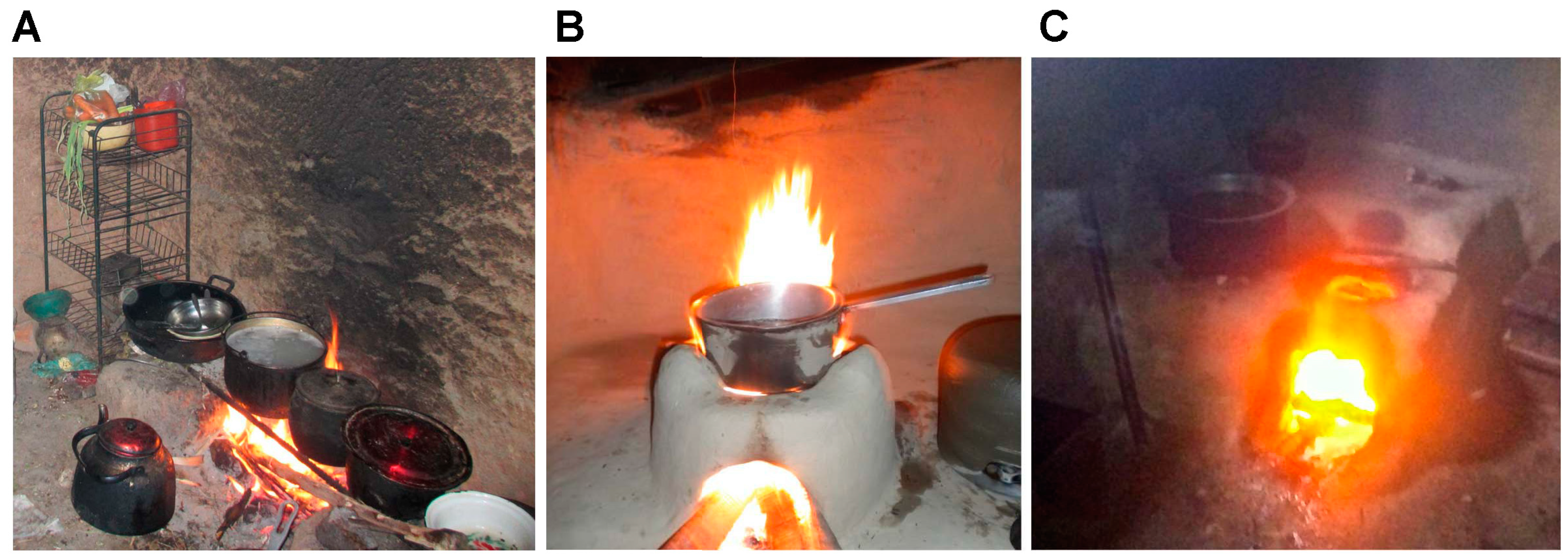 Ijerph 11 10310 g001