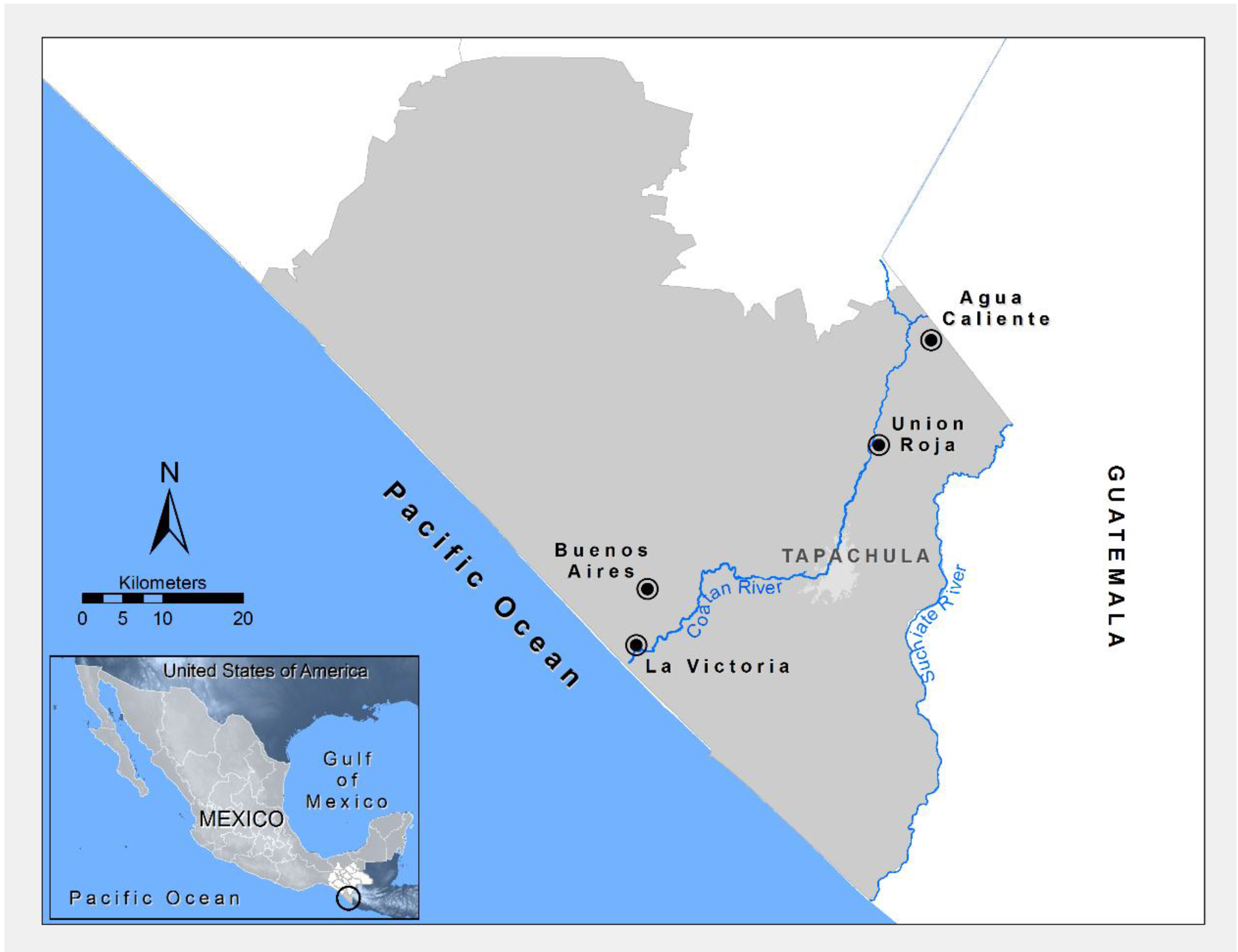 Ijerph 11 10444 g001