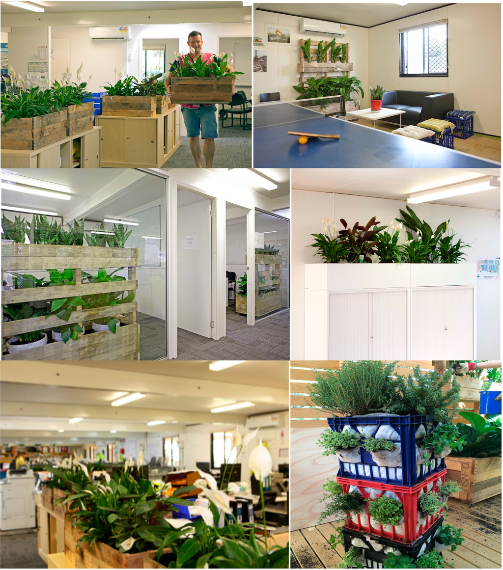 Ijerph 11 12204 g006 1024