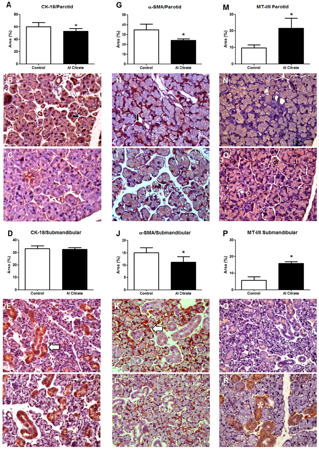 Ijerph 11 12429 g001 1024