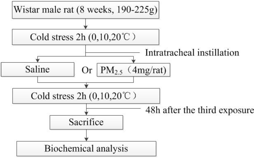 Ijerph 11 12915 g001 1024