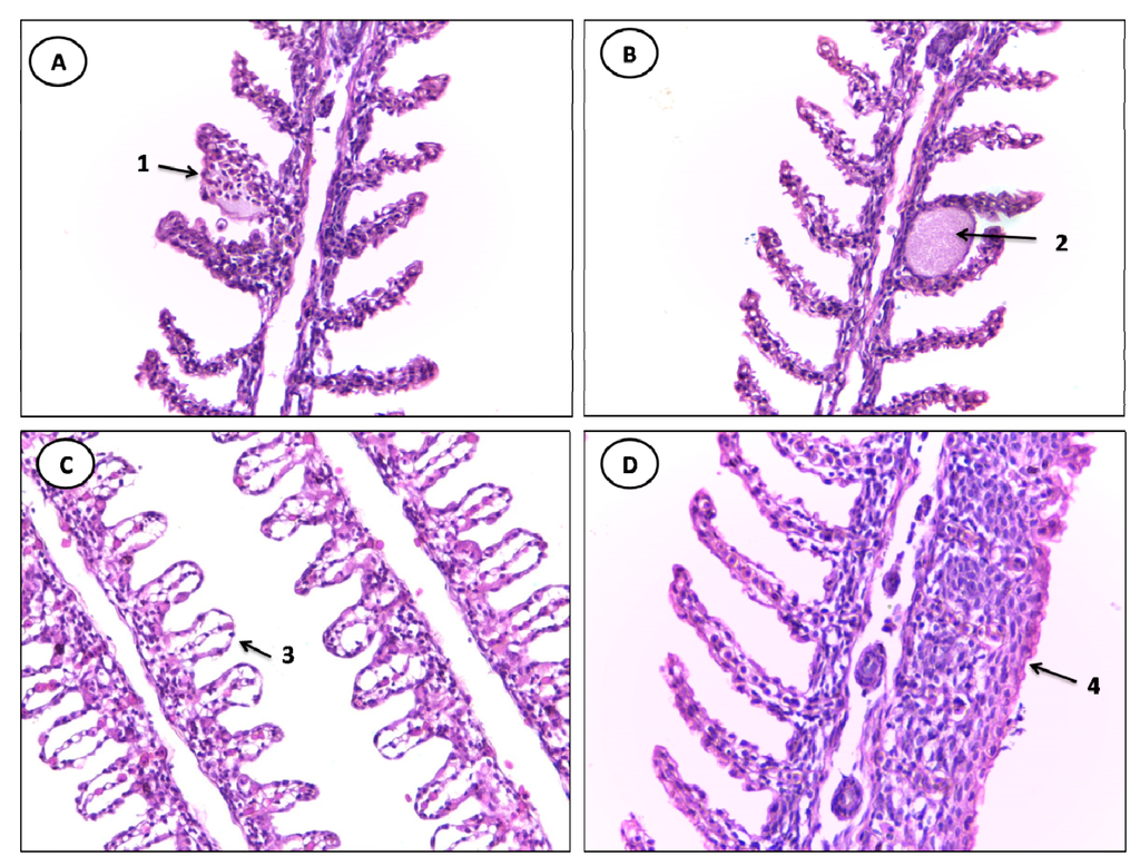 Ijerph 11 12927 g003 1024