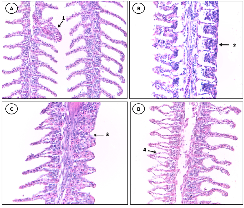 Ijerph 11 12927 g004 1024