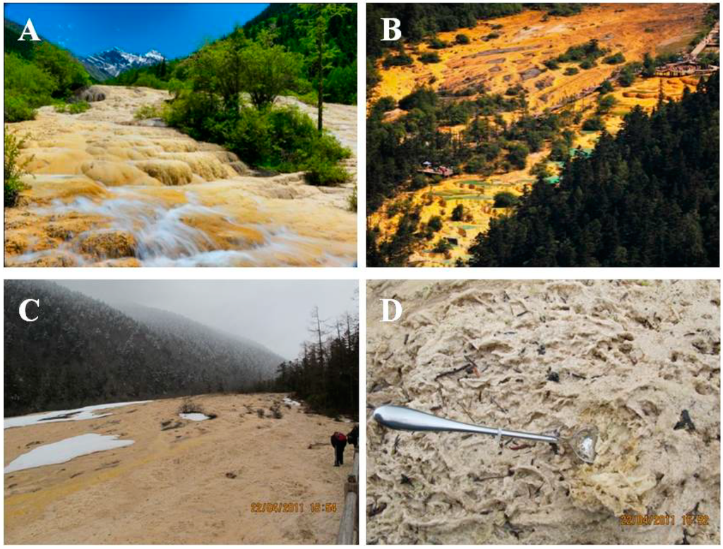 Ijerph 11 13084 g001 1024