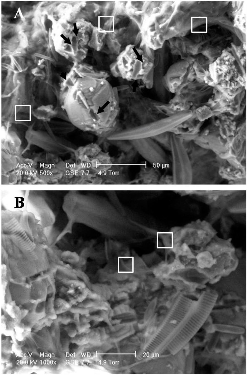 Ijerph 11 13084 g002 1024