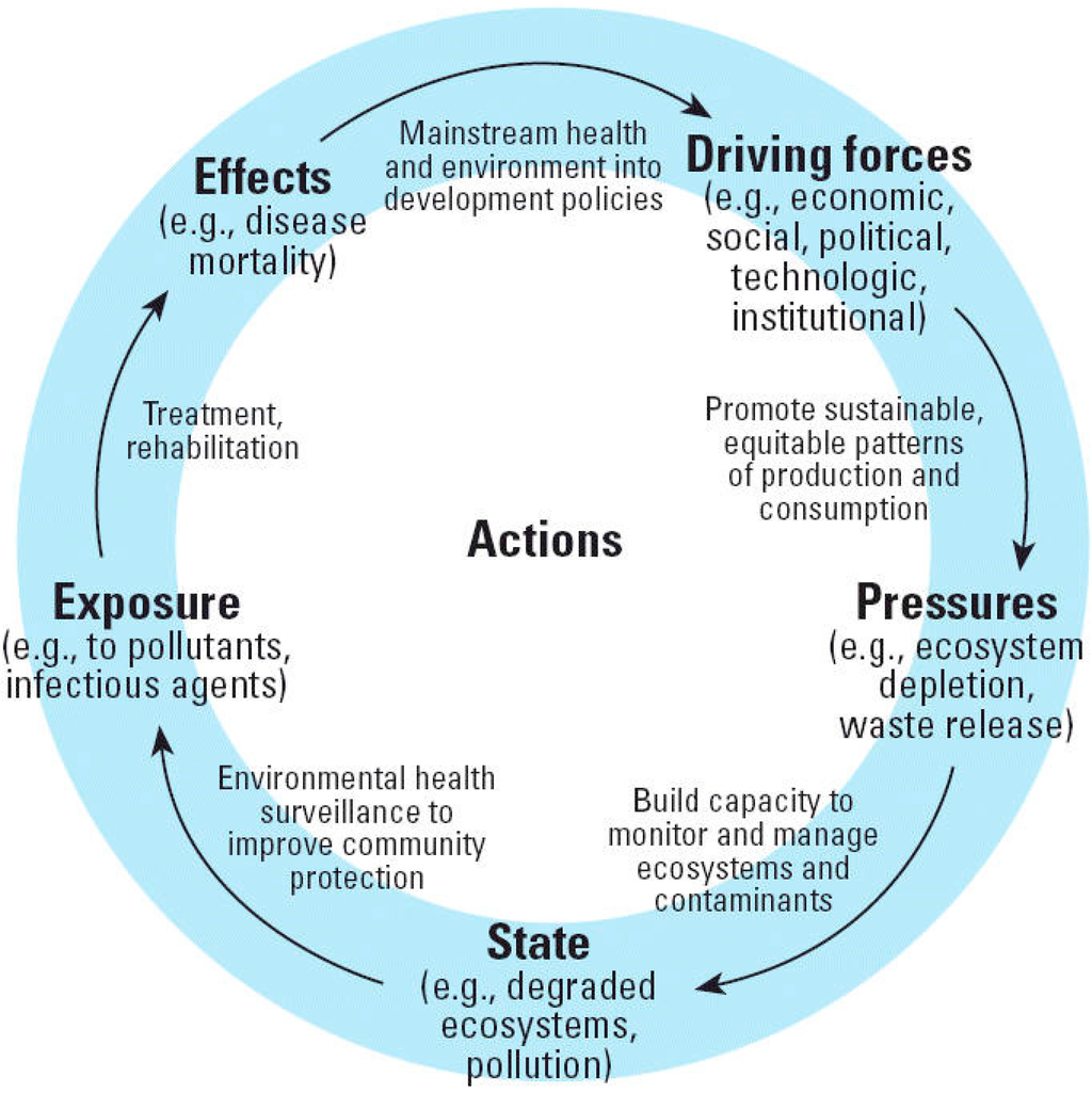 Ijerph 12 00016 g002 1024