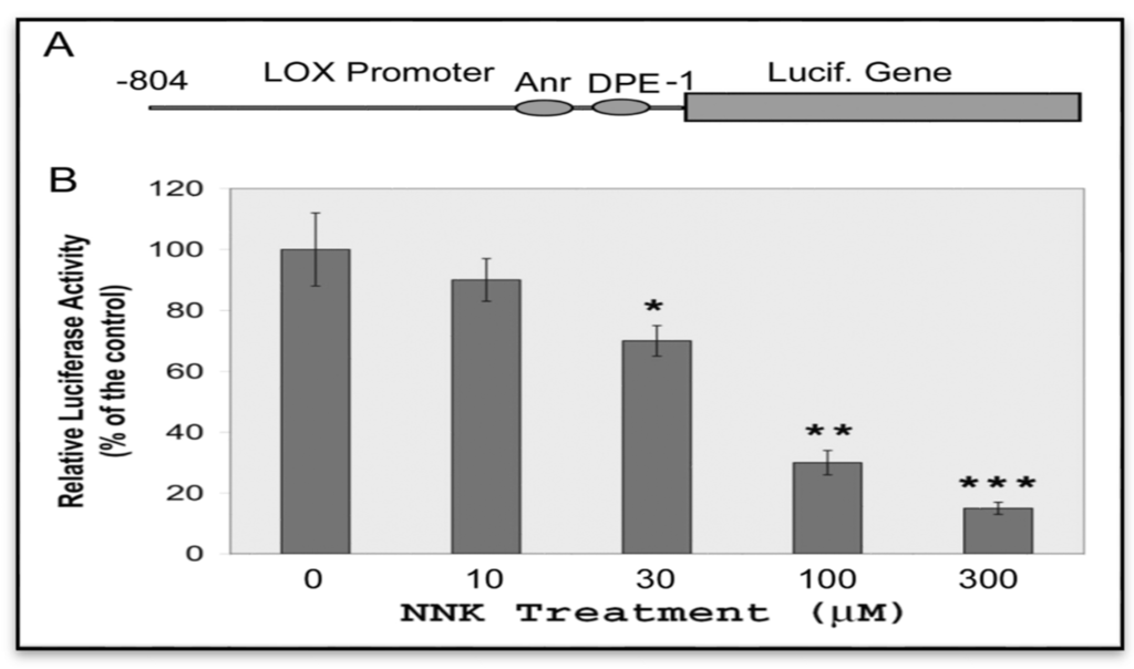Ijerph 12 00064 g005 1024