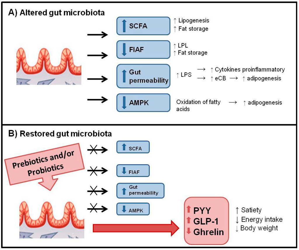 Ijerph 12 00162 g001 1024